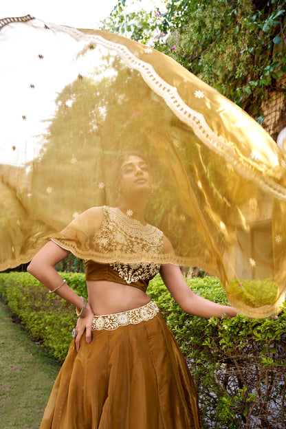 WEDDING SPECIAL CHANDA SILK SEQUINS AND THREAD EMBROIDERED LEHENGA CHOLI WITH DUPATTA (TT07)