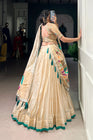 SHIMER PAITHANI ZARI WEAVING LEHENGA CHOLI WITH DUPATTA (WDN96) 01
