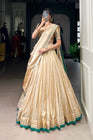 SHIMER PAITHANI ZARI WEAVING LEHENGA CHOLI WITH DUPATTA (WDN96) 01