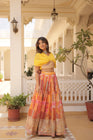 TILTON PREMIUM DESIGNER LEHENGA