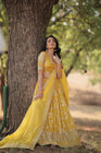 Tilton Designer Dyeable Pure Viscose Jacquard fabric Lehenga Choli & Dupatta Set