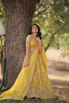 Tilton Designer Dyeable Pure Viscose Jacquard fabric Lehenga Choli & Dupatta Set