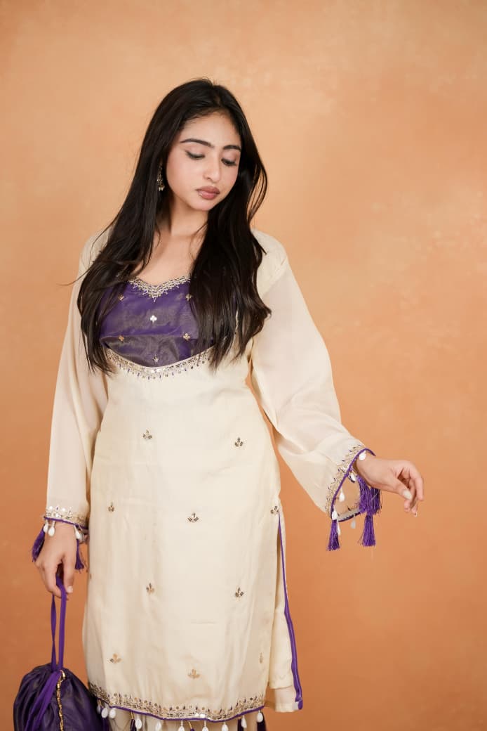 Featuring beautiful Heavy Suit Set which is beautifully decorated Embroidered🪡and Hand work. It is paired with matching Plazzo🪡.Complet Lining with Beautiful work(RRRD39)