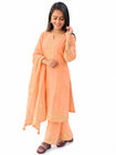 Elegance Embroidered Suit Set (RRRD66 RR TULSHI)