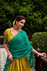 PONGAL SPECIAL POLY COTTON ZARI WEAVING WORKED LEHENGA CHOLI (WDN97) 03 - suitswala