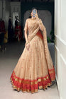 PURE CHANDERI ZARI WEAVING LEHENGA CHOLI WITH DUPATTA (WDN92) 02 - suitswala