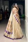 SHIMER PAITHANI ZARI WEAVING LEHENGA CHOLI WITH DUPATTA (WDN96) 02 - suitswala