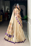 SHIMER PAITHANI ZARI WEAVING LEHENGA CHOLI WITH DUPATTA (WDN96) 02 - suitswala