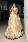 SHIMER PAITHANI ZARI WEAVING LEHENGA CHOLI WITH DUPATTA (WDN96) 02 - suitswala