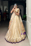SHIMER PAITHANI ZARI WEAVING LEHENGA CHOLI WITH DUPATTA (WDN96) 02 - suitswala