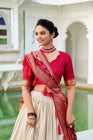 WEDDING SPECIAL PATOLA PRINTED LEHENGA CHOLI (WDN115) - suitswala
