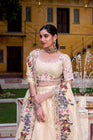 WEDDING SPECIAL RASPBERRY SEQUINS AND THREAD EMBROIDERY LEHENGA CHOLI (WDN134) - suitswala