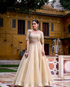 WEDDING SPECIAL RASPBERRY SEQUINS AND THREAD EMBROIDERY LEHENGA CHOLI (WDN134)