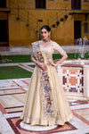 WEDDING SPECIAL RASPBERRY SEQUINS AND THREAD EMBROIDERY LEHENGA CHOLI (WDN134) - suitswala
